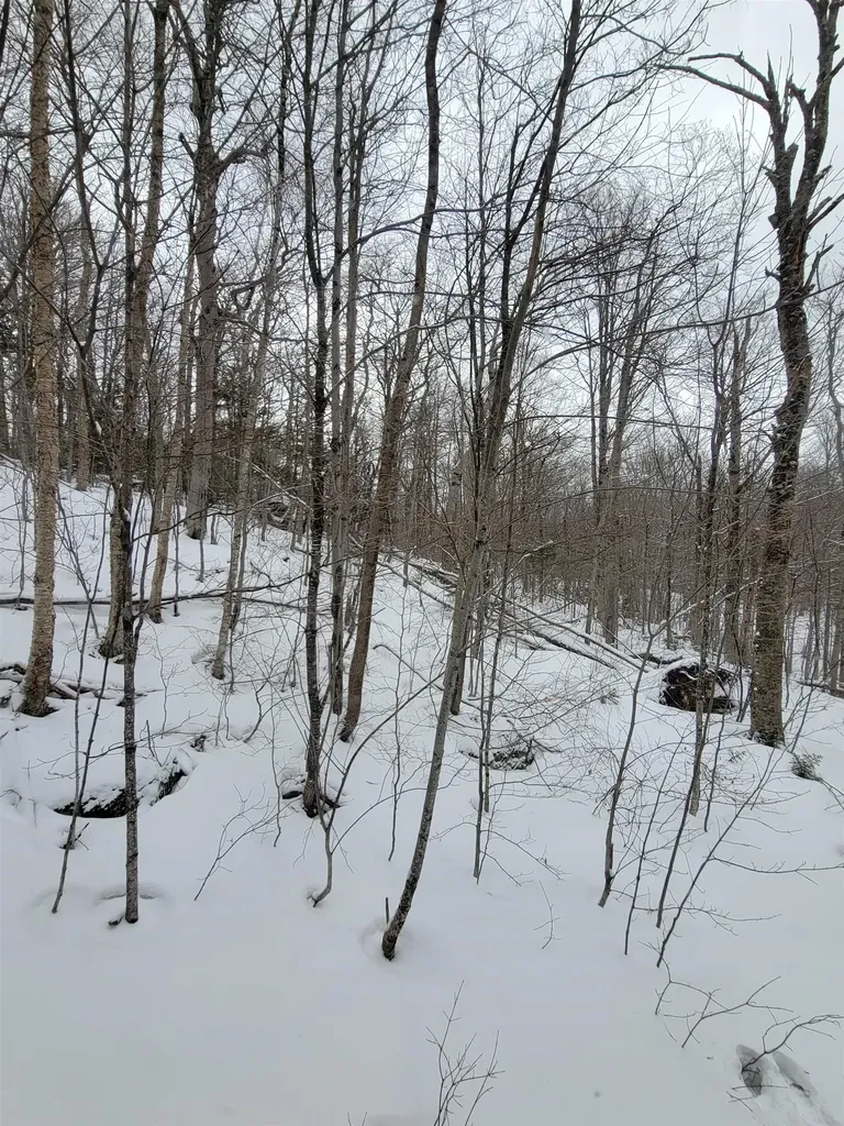 845 Bailey Hill Road Readsboro VT 05350