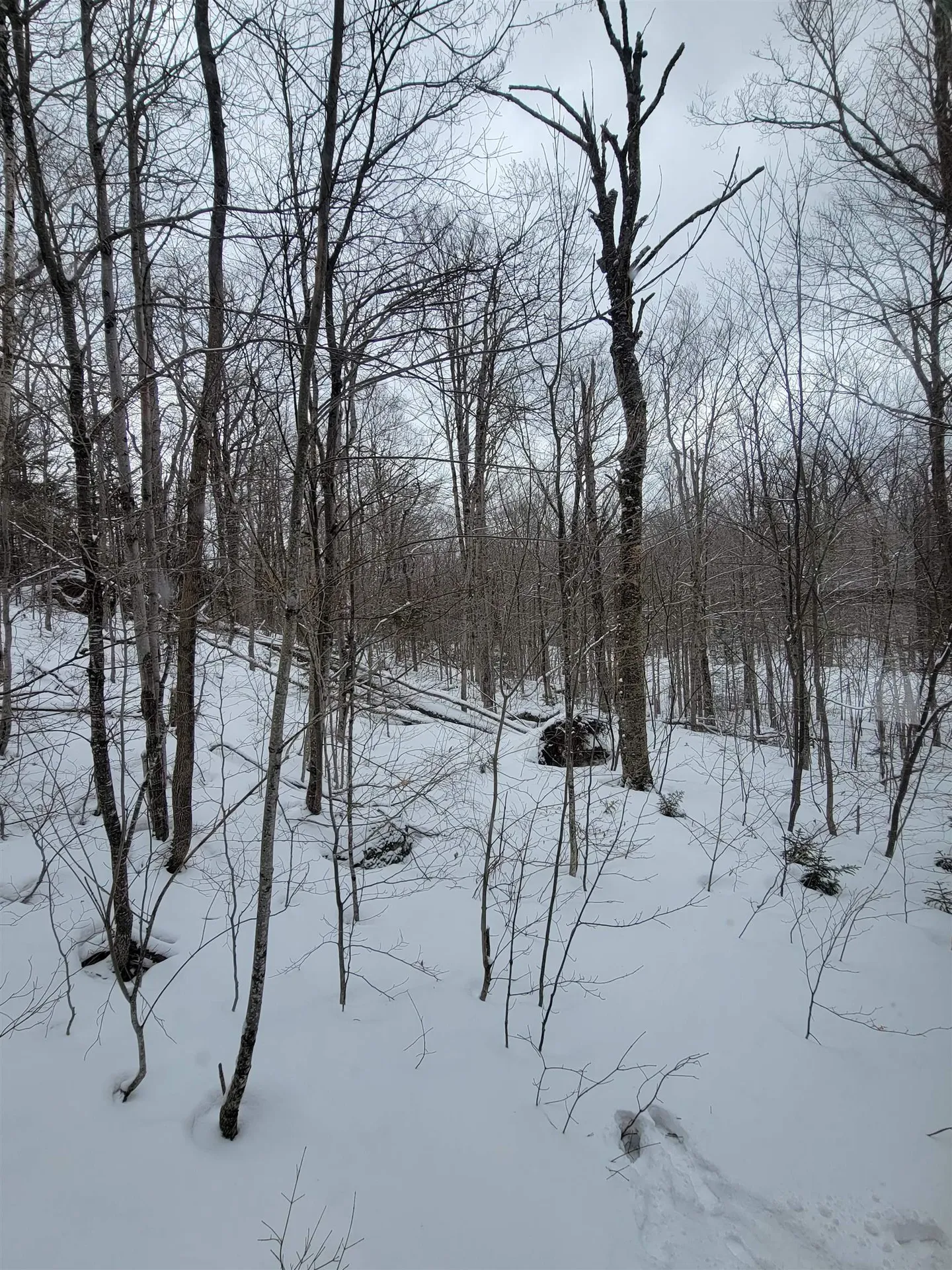 845 Bailey Hill Road Readsboro VT 05350