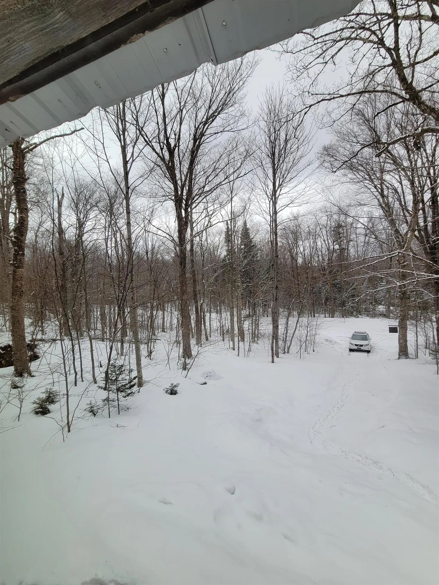 845 Bailey Hill Road Readsboro VT 05350