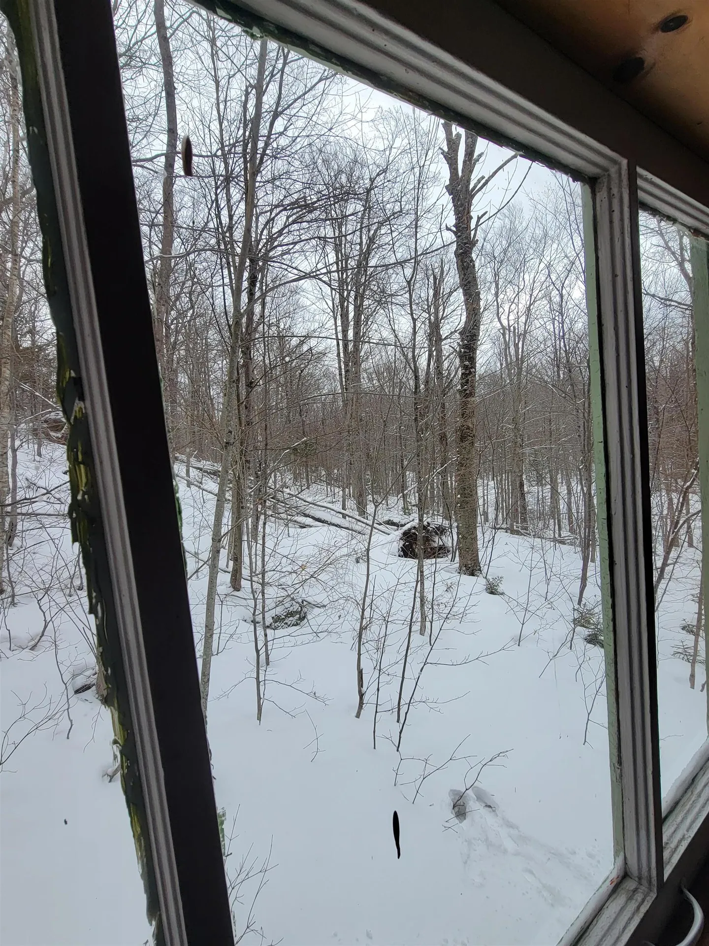 845 Bailey Hill Road Readsboro VT 05350