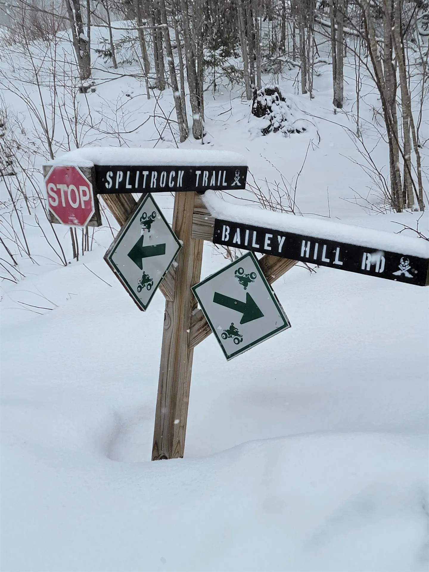 845 Bailey Hill Road Readsboro VT 05350