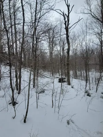 845 Bailey Hill Road Readsboro VT 05350