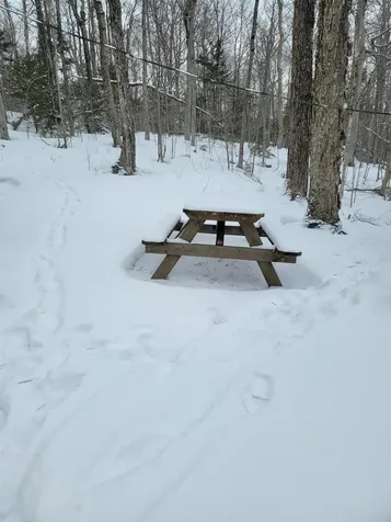 845 Bailey Hill Road Readsboro VT 05350