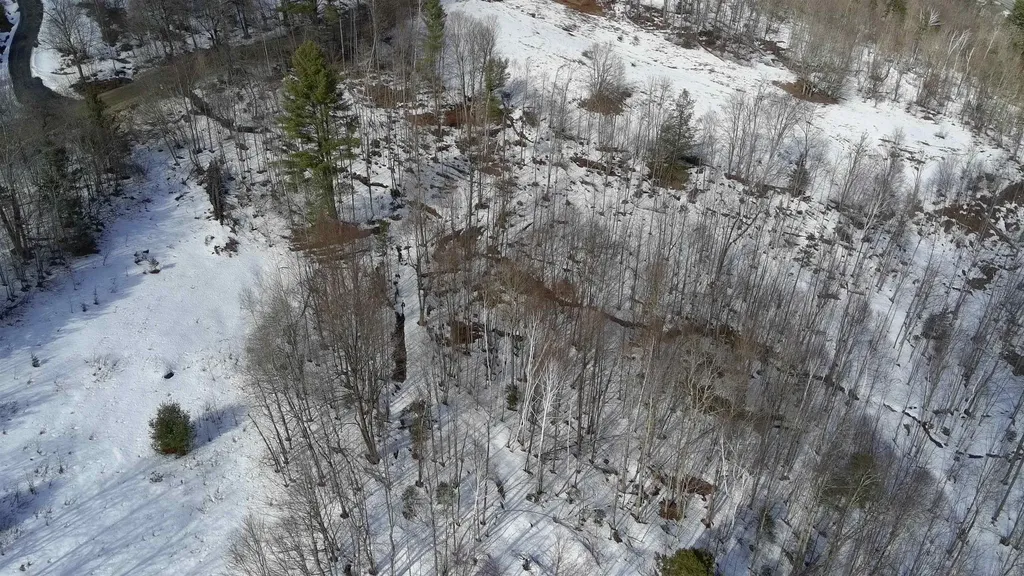 Lot 3 Thurston Hill Road Roxbury VT 05669