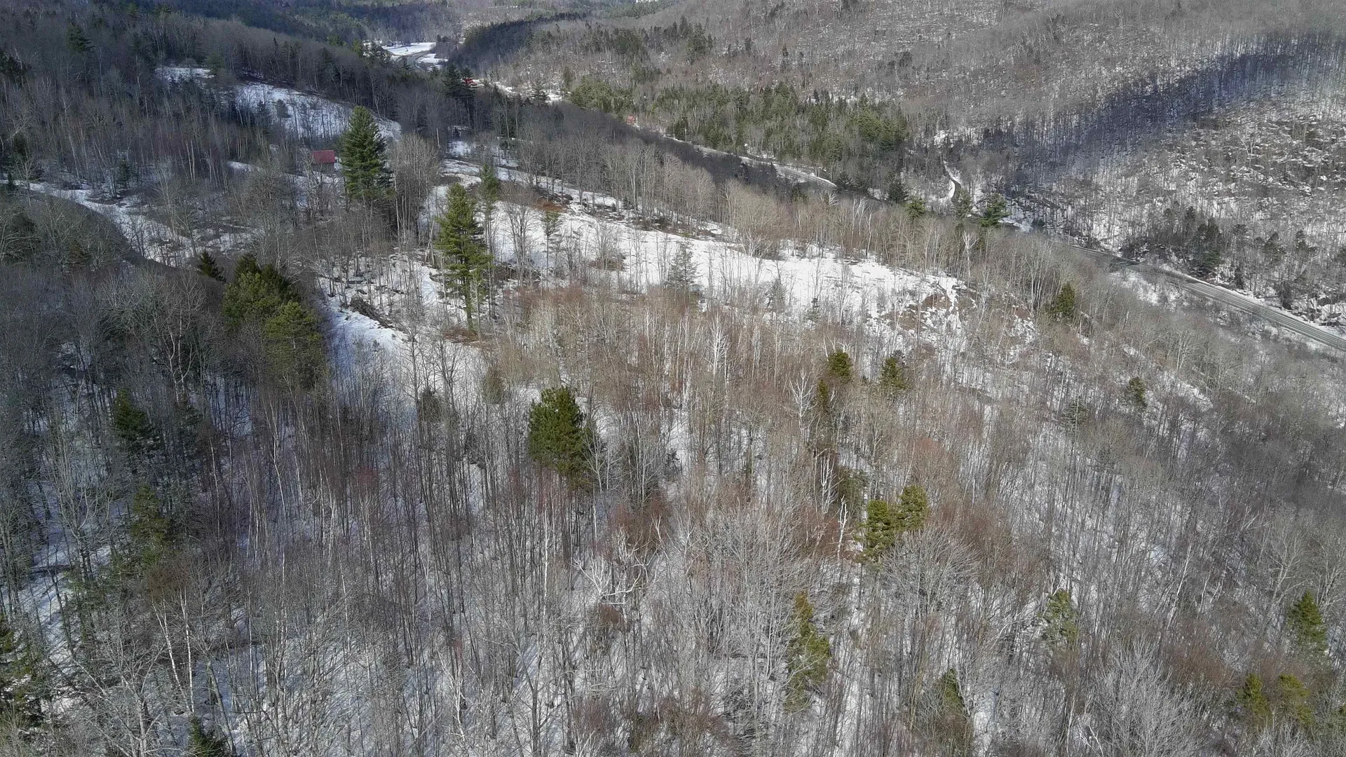Lot 3 Thurston Hill Road Roxbury VT 05669