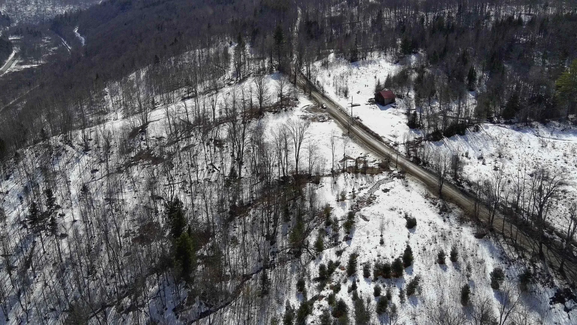 Lot 3 Thurston Hill Road Roxbury VT 05669
