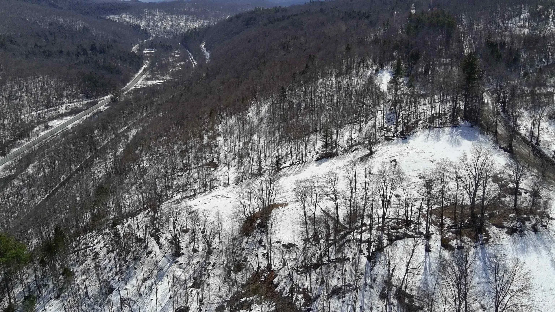 Lot 3 Thurston Hill Road Roxbury VT 05669