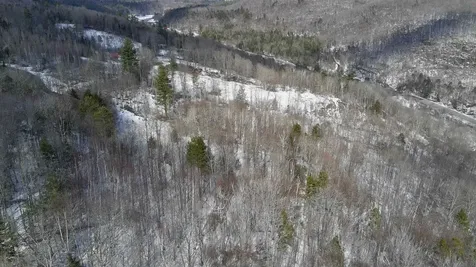 Lot 3 Thurston Hill Road Roxbury VT 05669