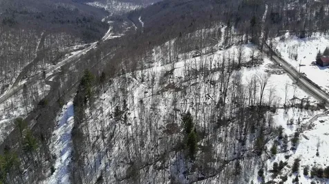 Lot 3 Thurston Hill Road Roxbury VT 05669