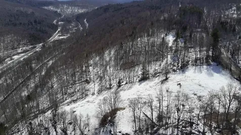 Lot 3 Thurston Hill Road Roxbury VT 05669