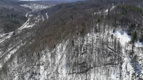 Lot 3 Thurston Hill Road Roxbury VT 05669