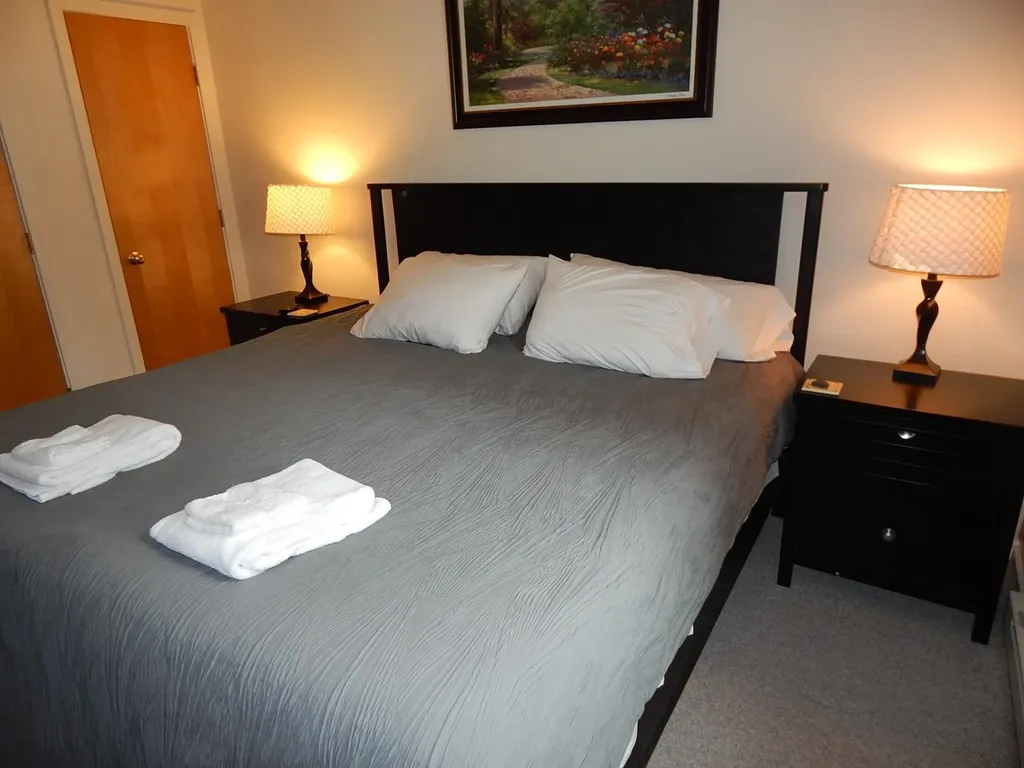 161 Mountainside Drive Warren VT 05674