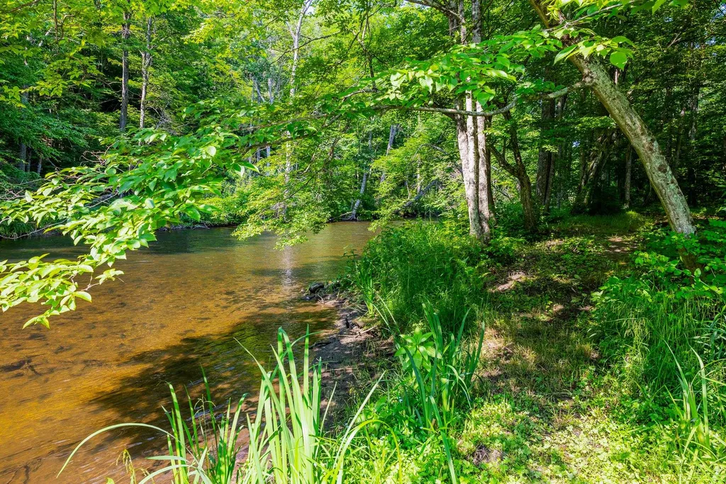85 Limerick Lane Arlington VT 05250