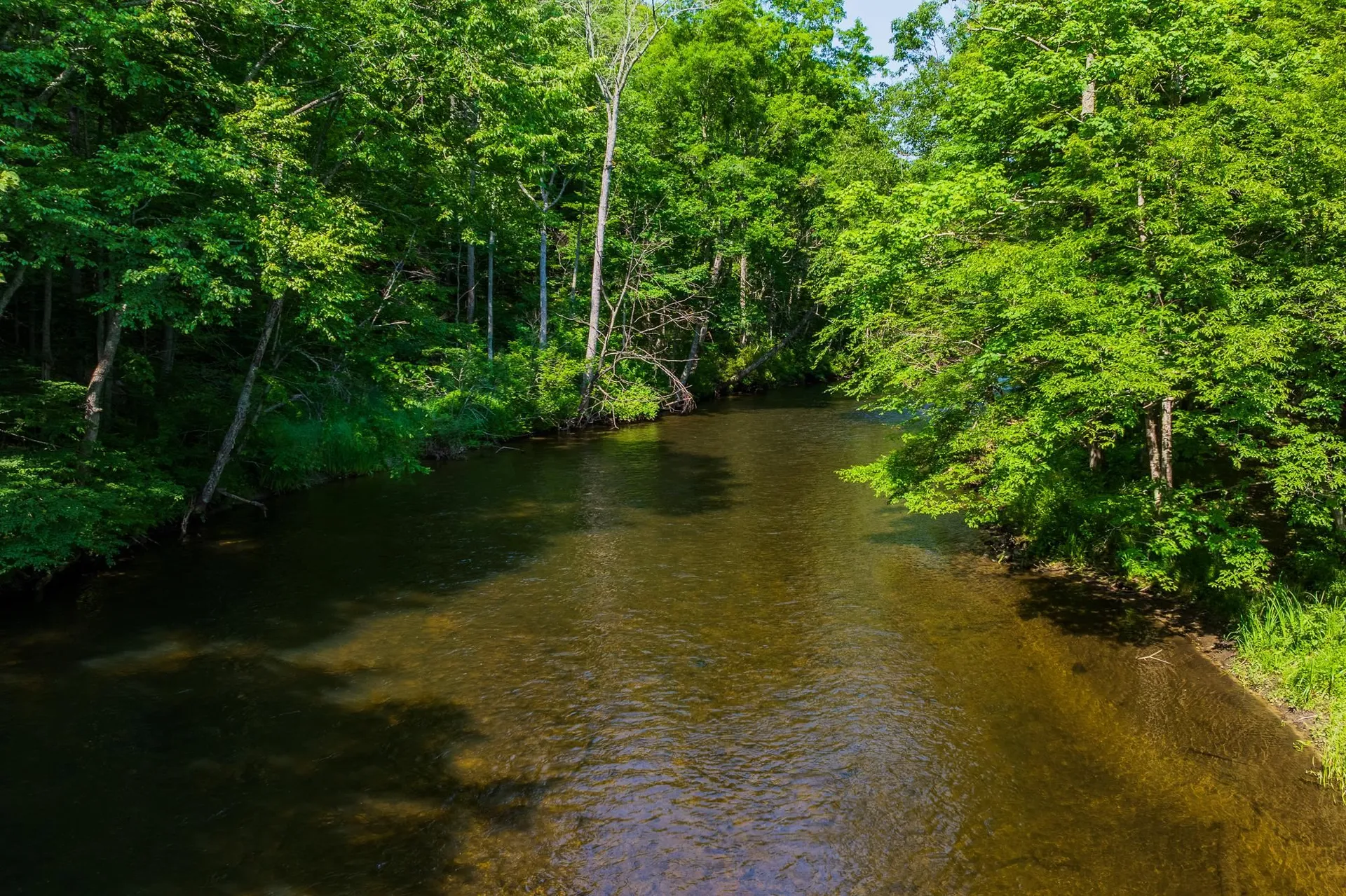 85 Limerick Lane Arlington VT 05250