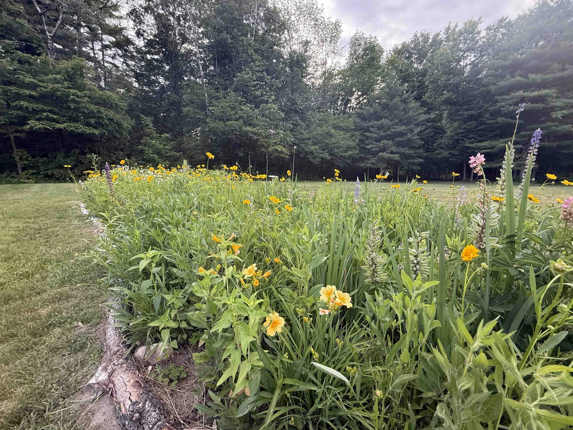 85 Limerick Lane Arlington VT 05250
