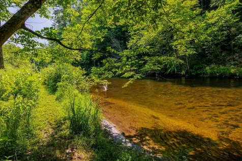 85 Limerick Lane Arlington VT 05250