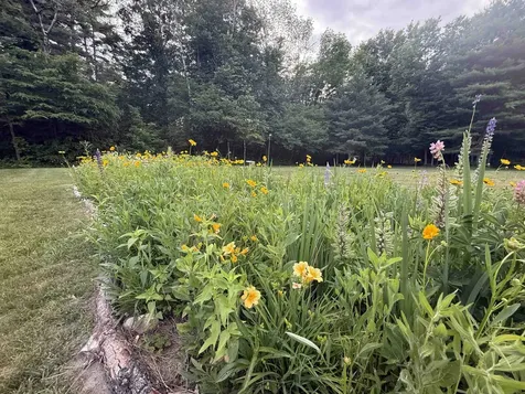 85 Limerick Lane Arlington VT 05250
