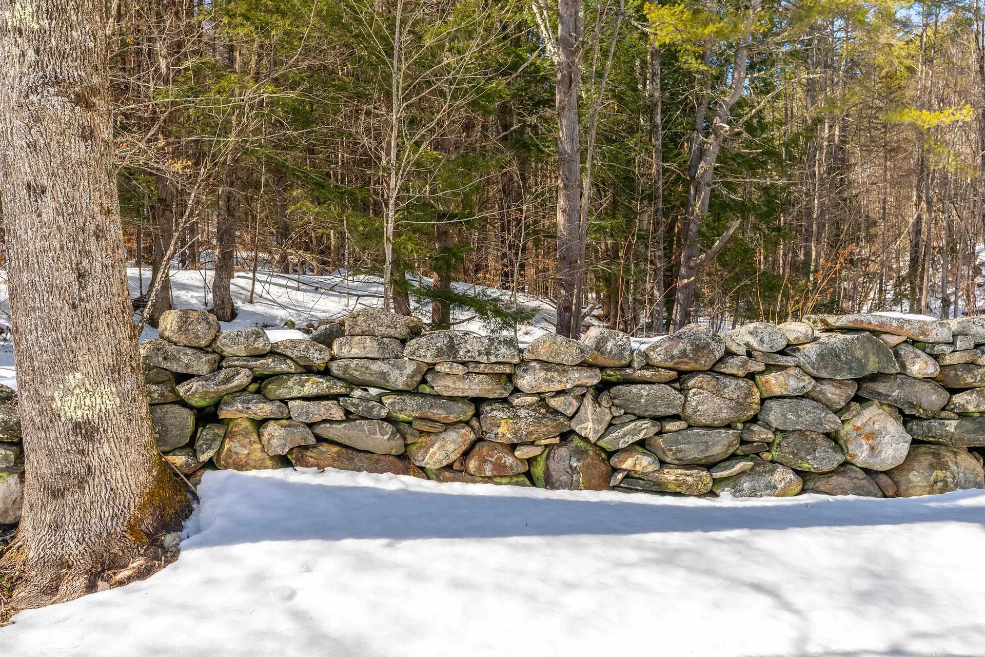 405 Main Street Wardsboro VT 05355