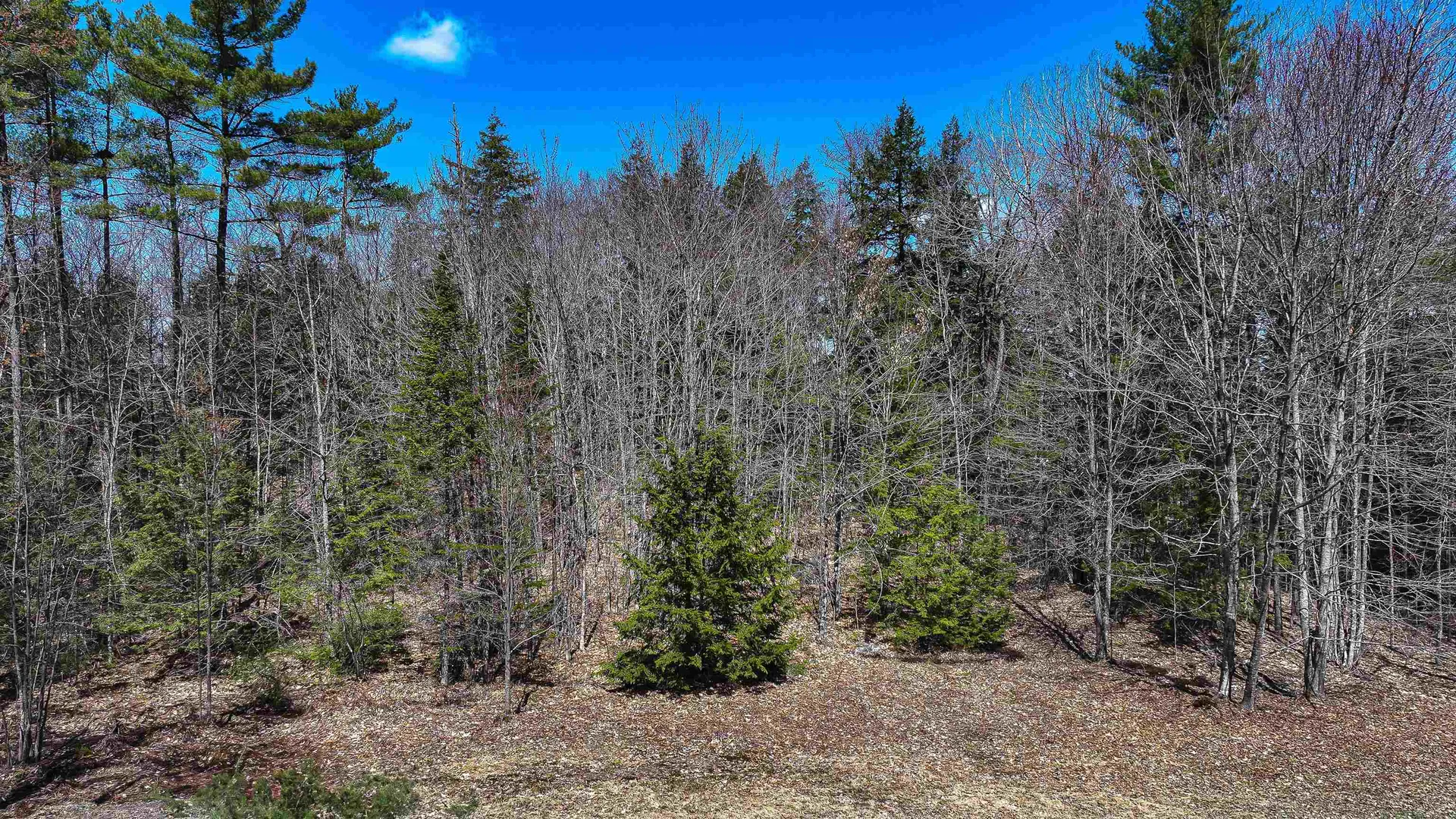 169 South Bridgton Road Bridgton ME 04009