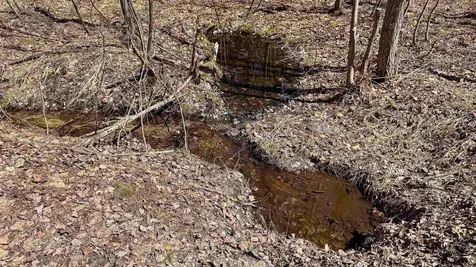 169 South Bridgton Road Bridgton ME 04009