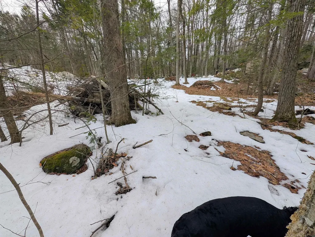 19 King Arthur Drive Farmington NH 03835