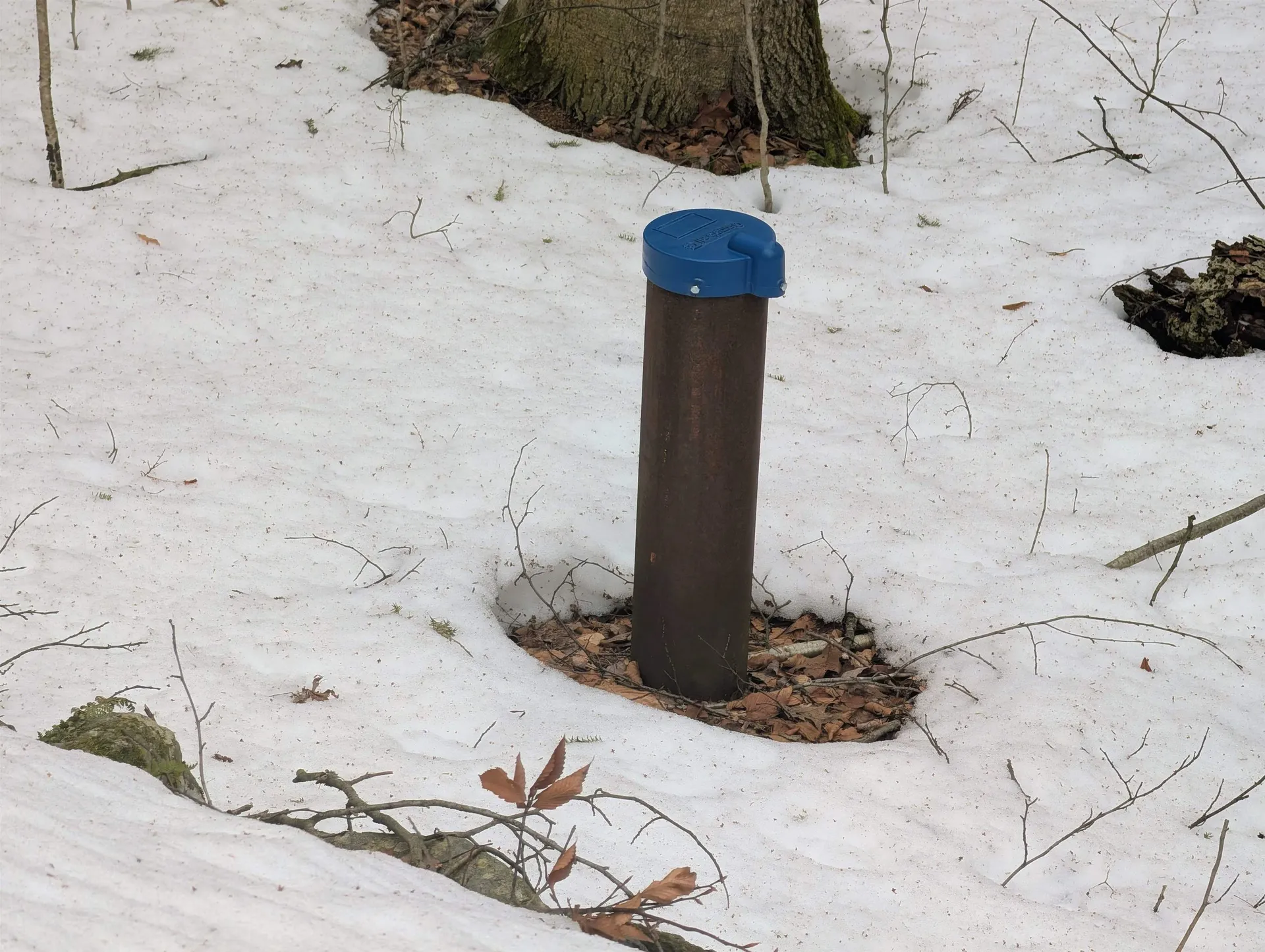 16 King Arthur Drive Farmington NH 03835