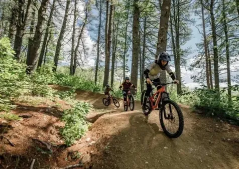 239 Skimobile Road Conway NH 03860