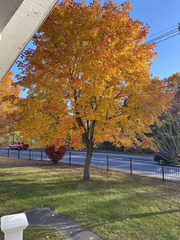 549 West Street Keene NH 03431