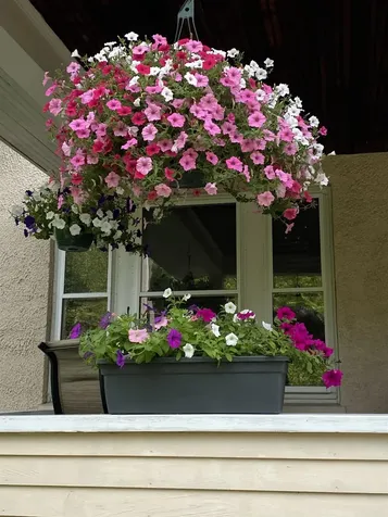 549 West Street Keene NH 03431