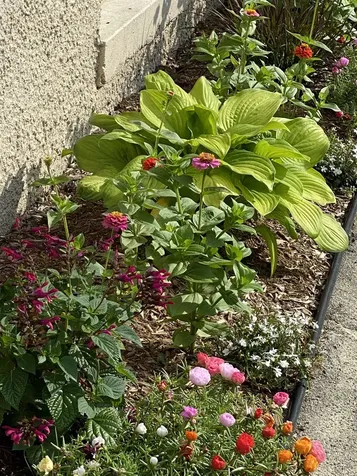 549 West Street Keene NH 03431