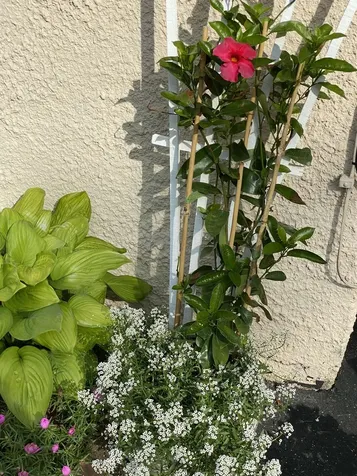 549 West Street Keene NH 03431