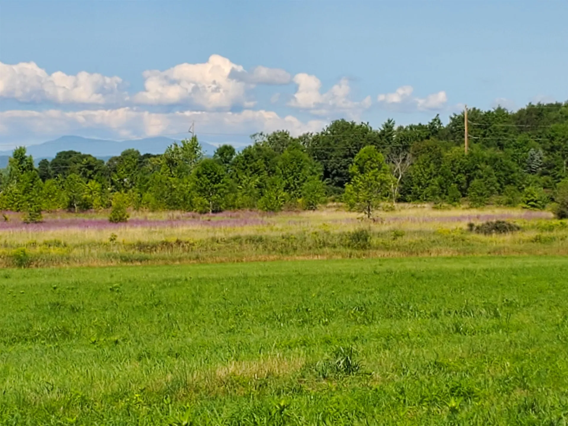 Tbd Park Lane Ferrisburgh VT 05456