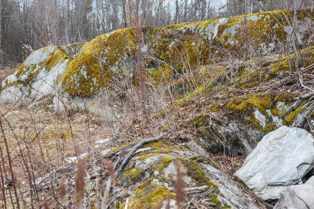 337 Chapin Road Essex VT 05453