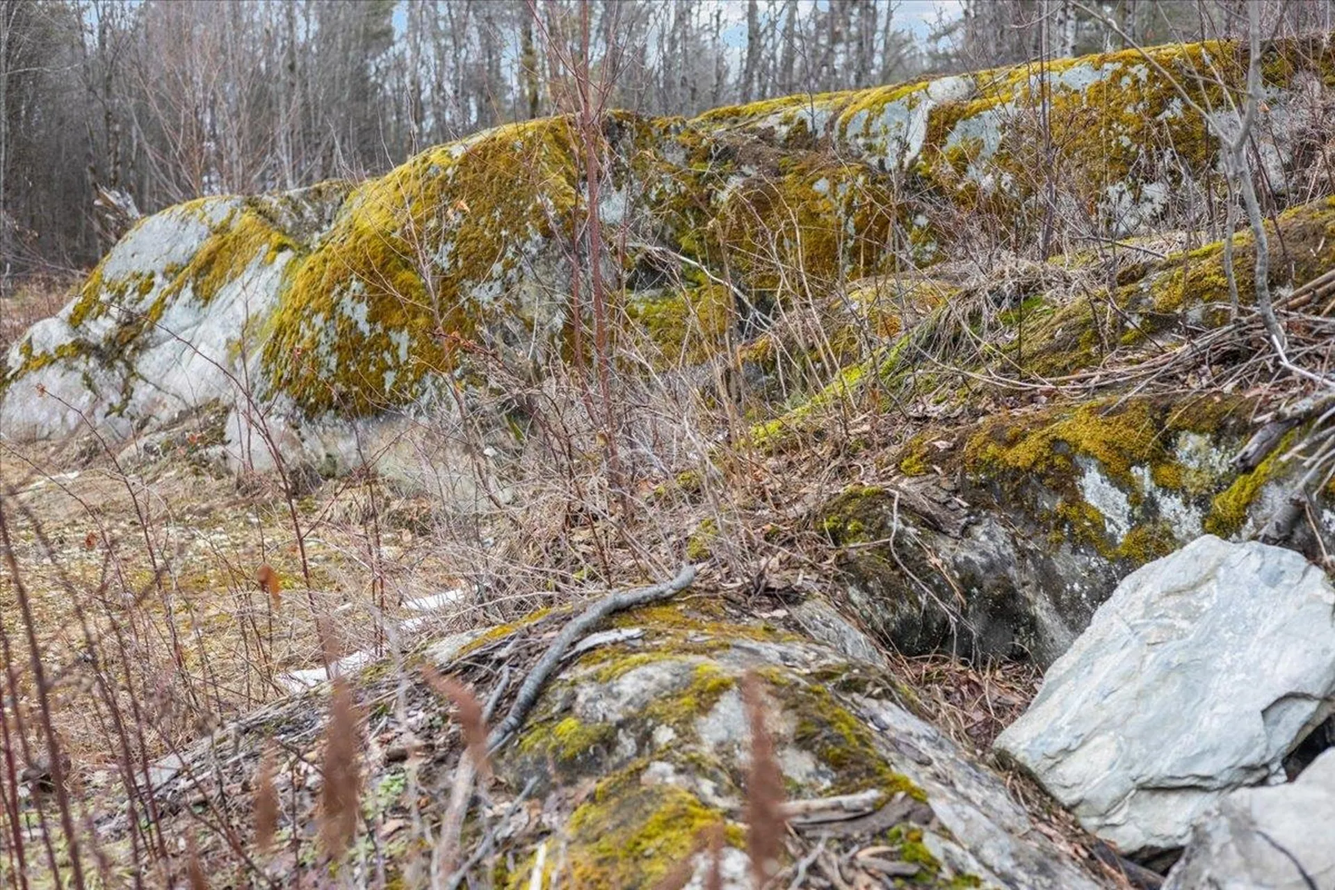 337 Chapin Road Essex VT 05453