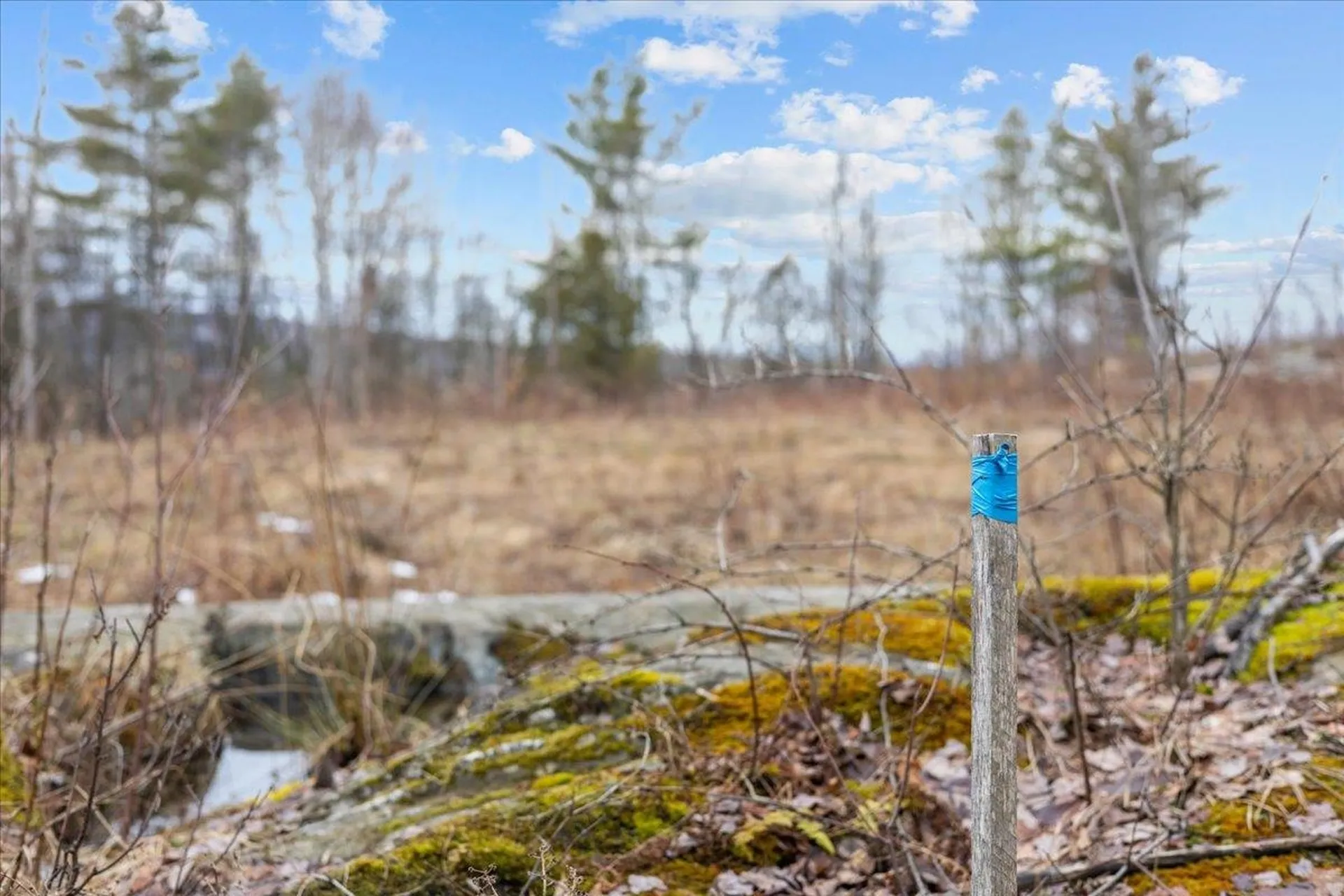 337 Chapin Road Essex VT 05453