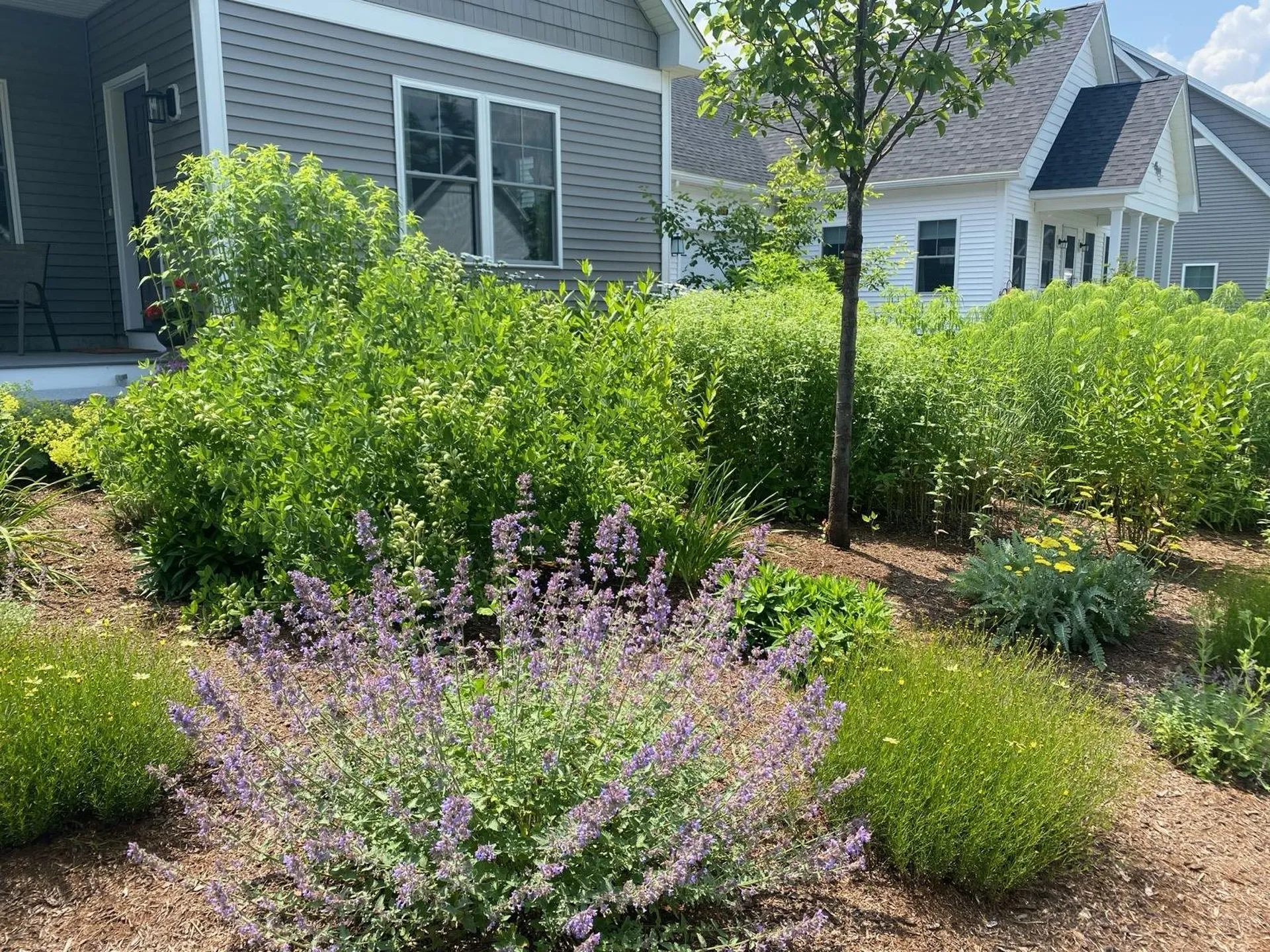 18 Church Street Peterborough NH 03458