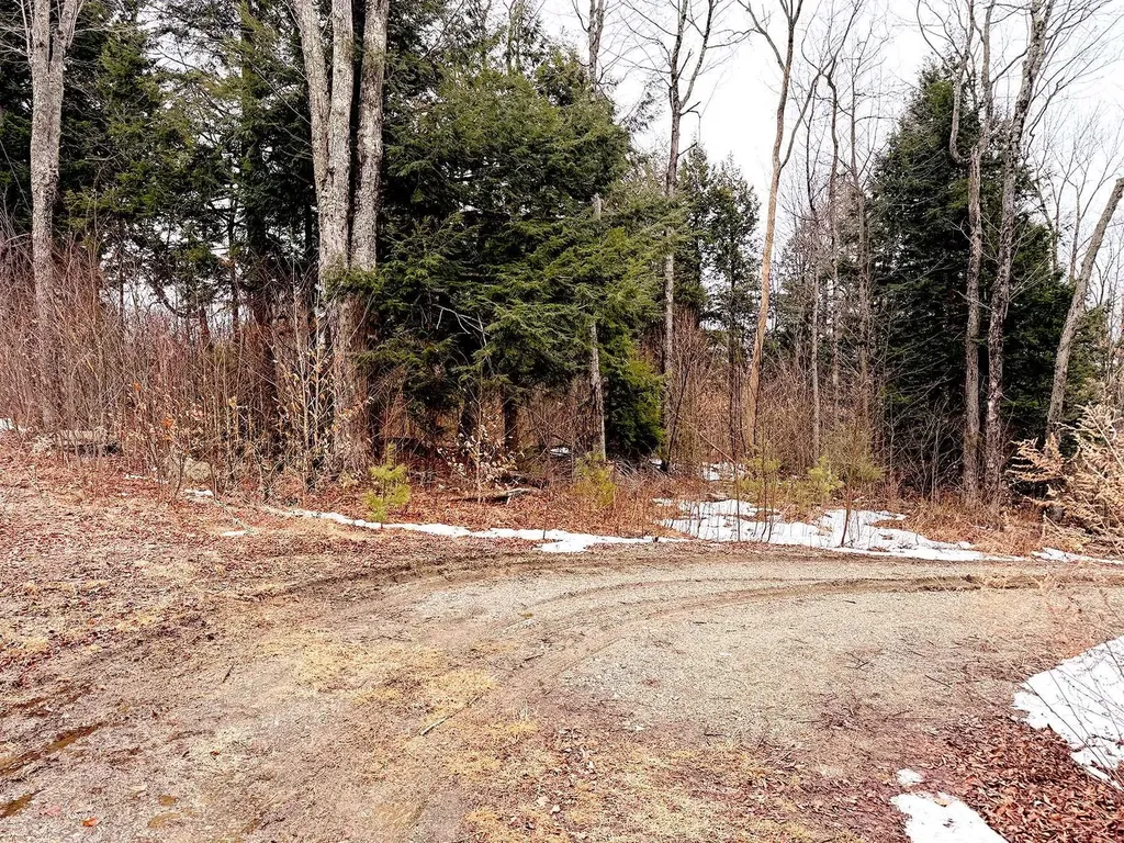 Tm 202 L 7 Stark Road Lempster NH 03605