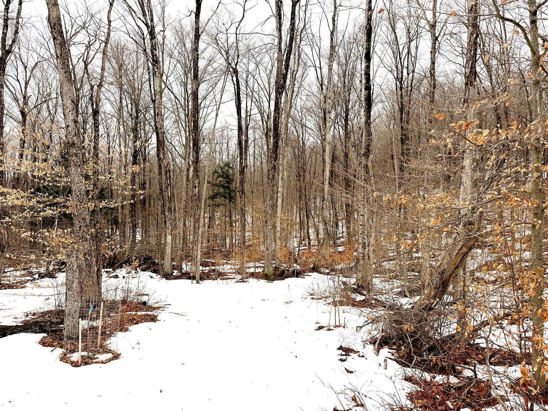 Tm 202 L 7 Stark Road Lempster NH 03605