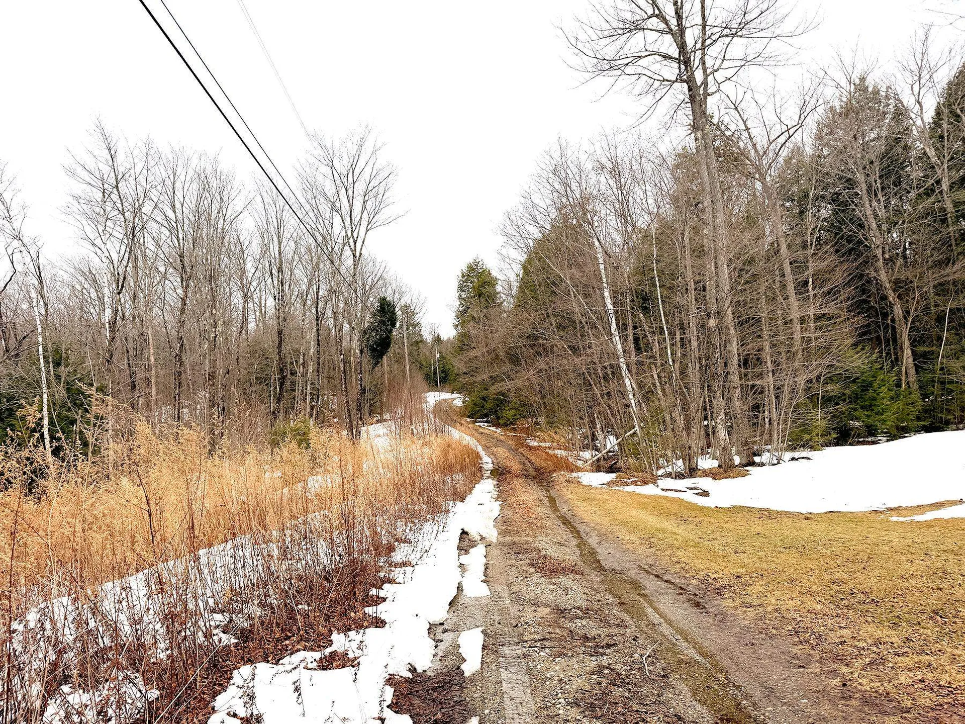 Tm 202 L 7 Stark Road Lempster NH 03605