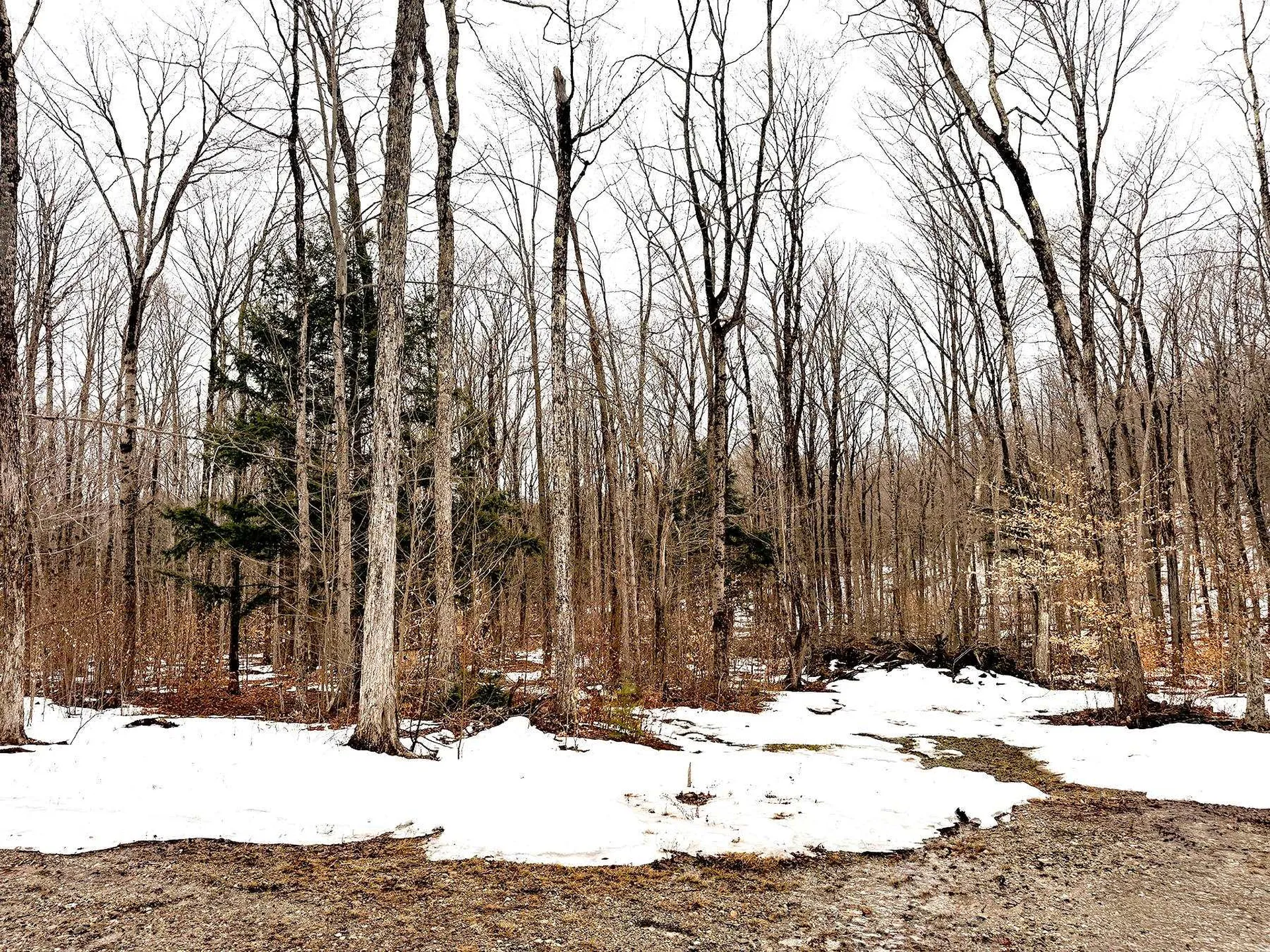 Tm 202 L 7 Stark Road Lempster NH 03605