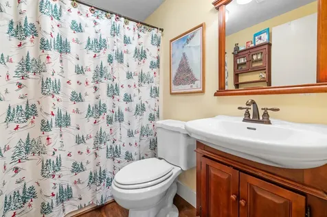 67 Bourne Brook Road Manchester VT 05255