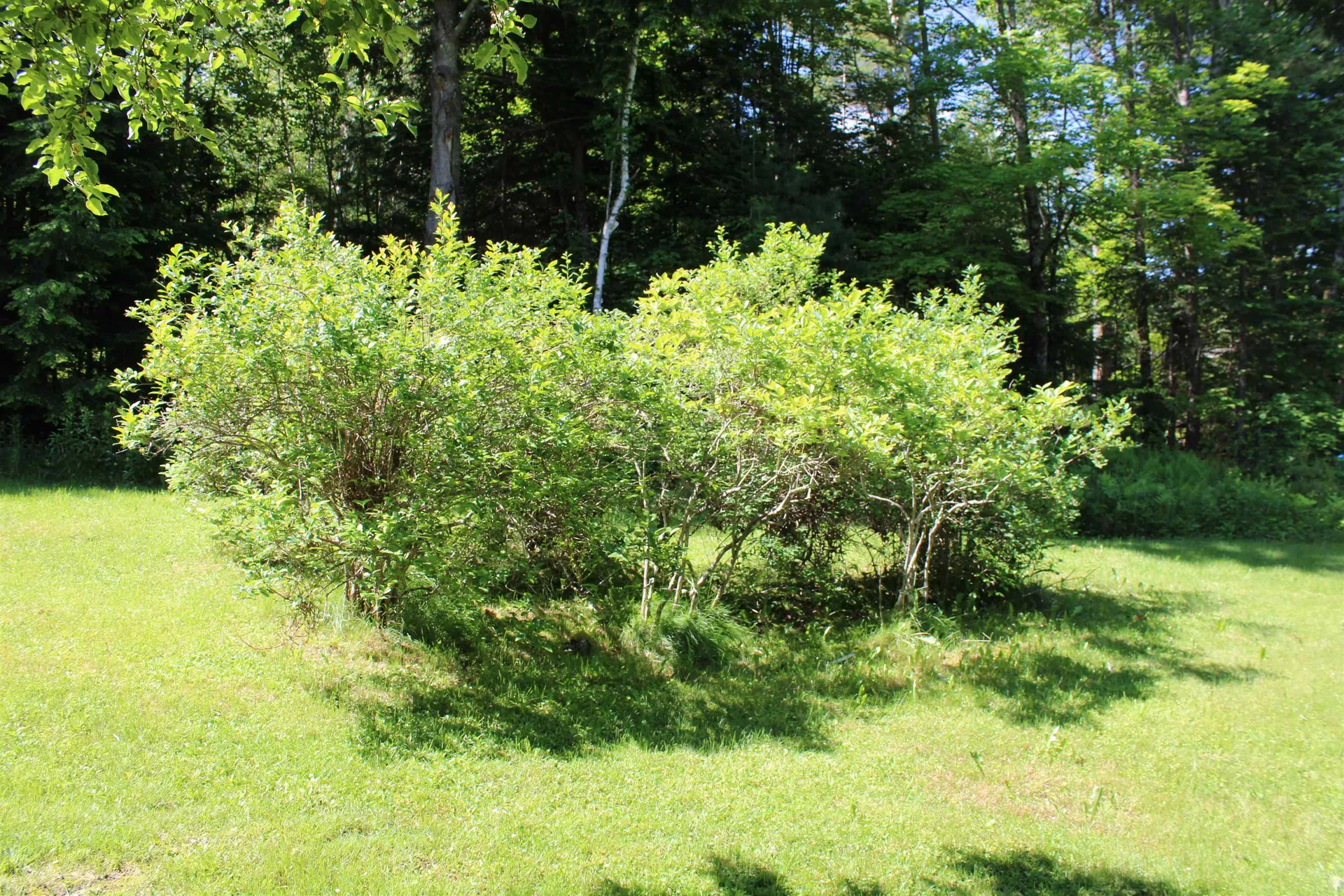 1579 Monroe Road Littleton NH 03561