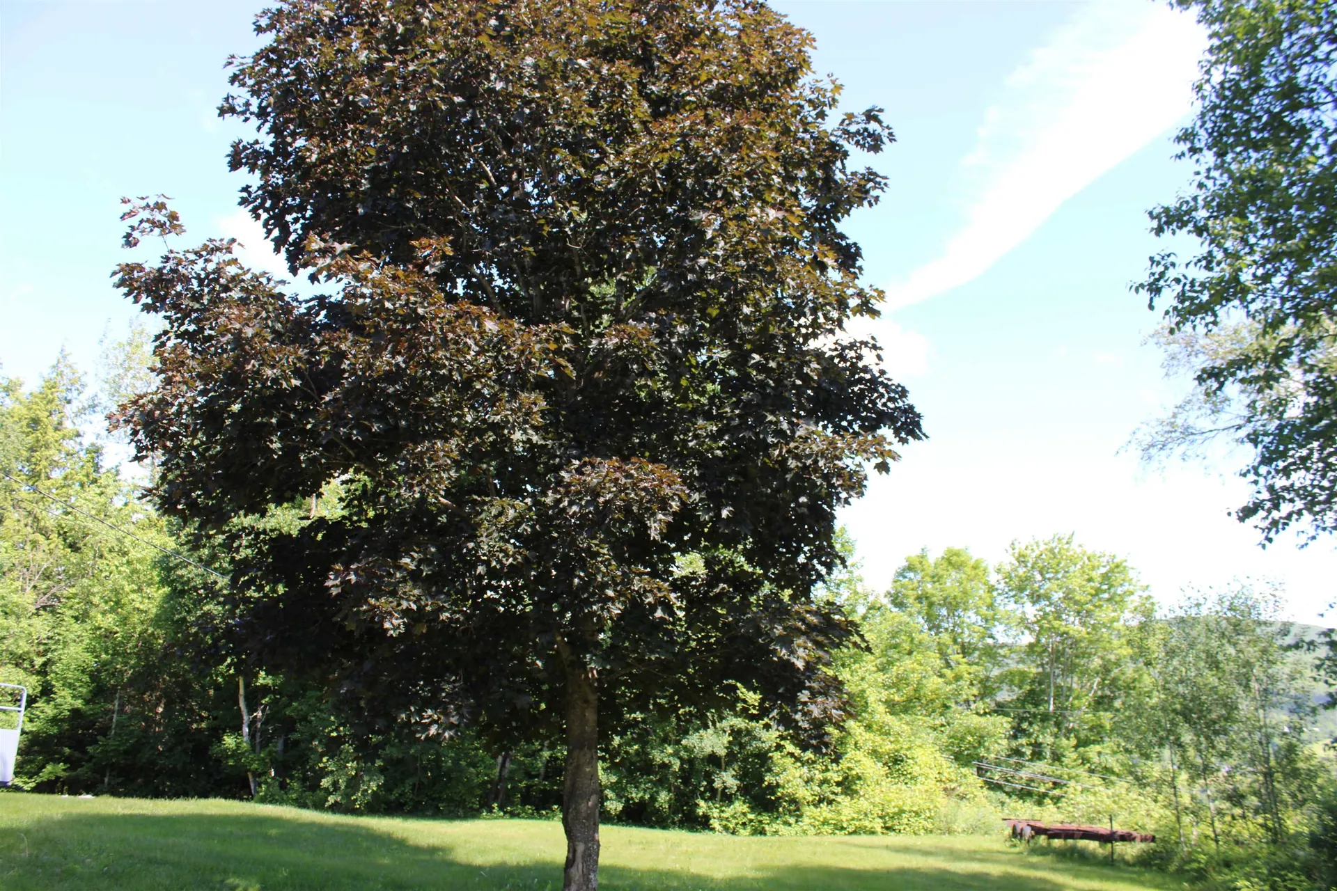 1579 Monroe Road Littleton NH 03561