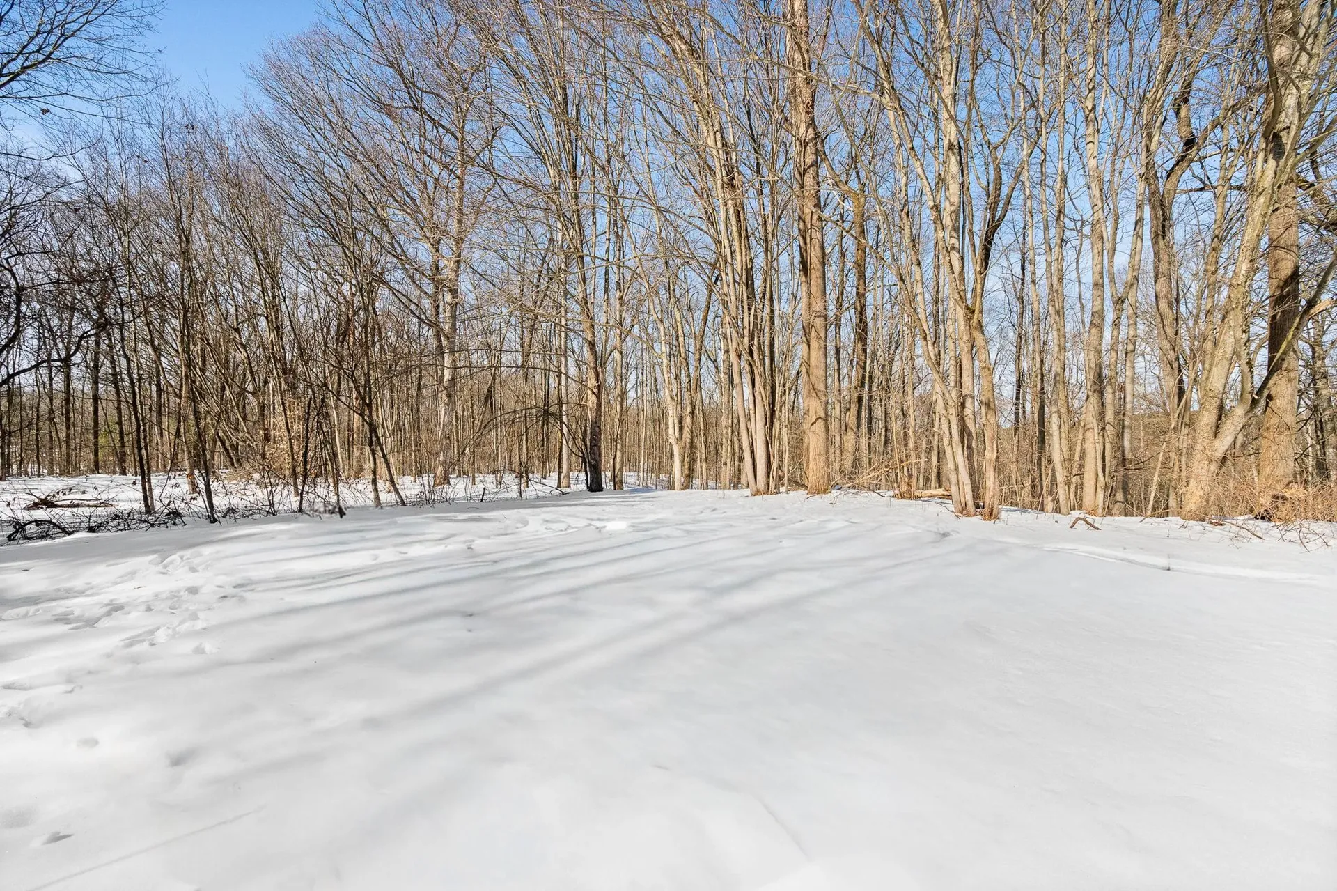 440 Oak Circle Colchester VT 05446