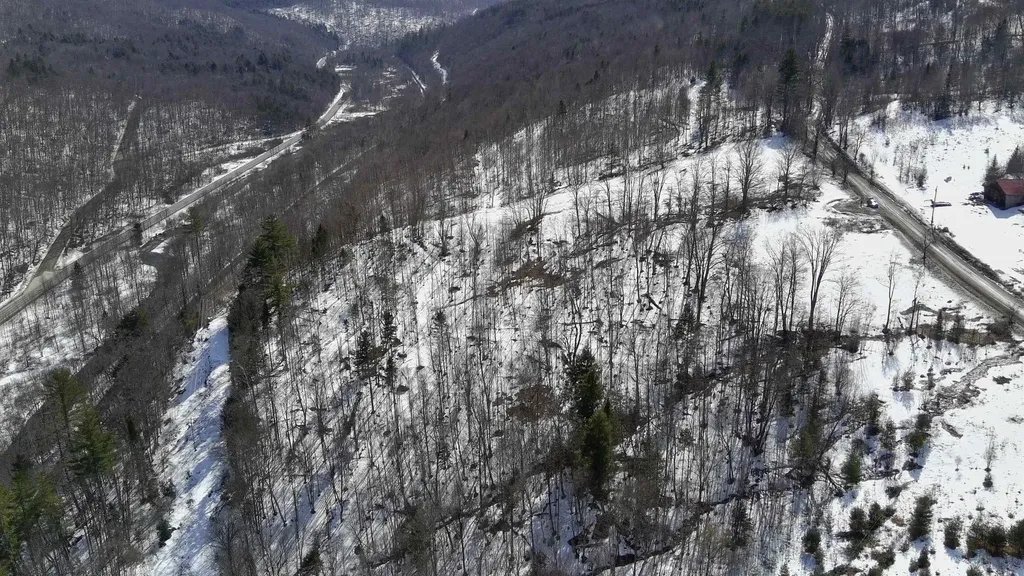 Lot 1 Thurston Hill Road Roxbury VT 05669