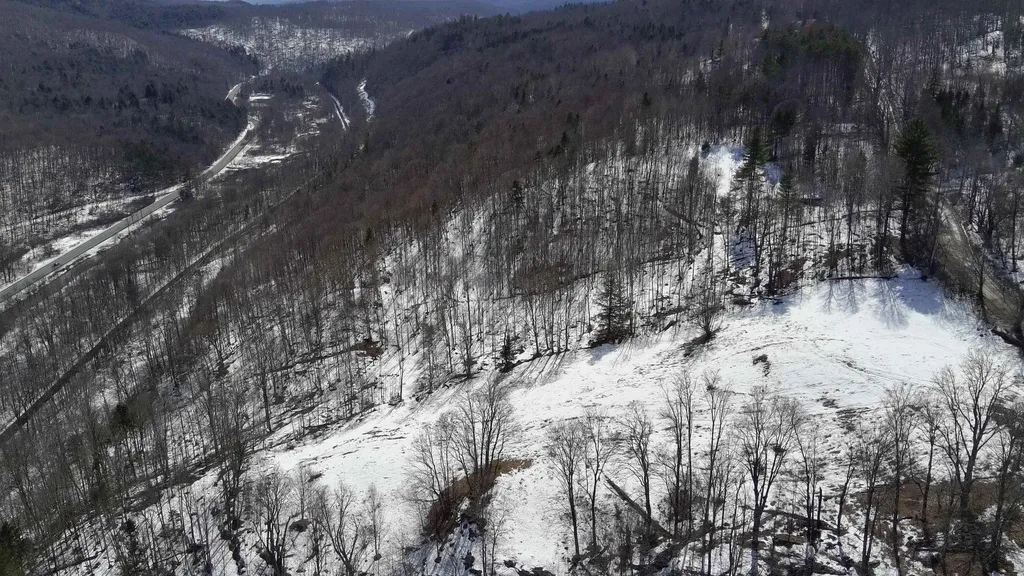 Lot 1 Thurston Hill Road Roxbury VT 05669