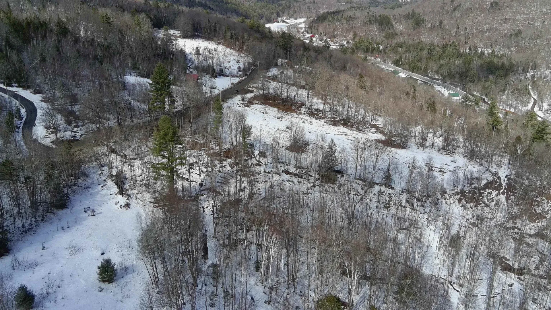 Lot 1 Thurston Hill Road Roxbury VT 05669