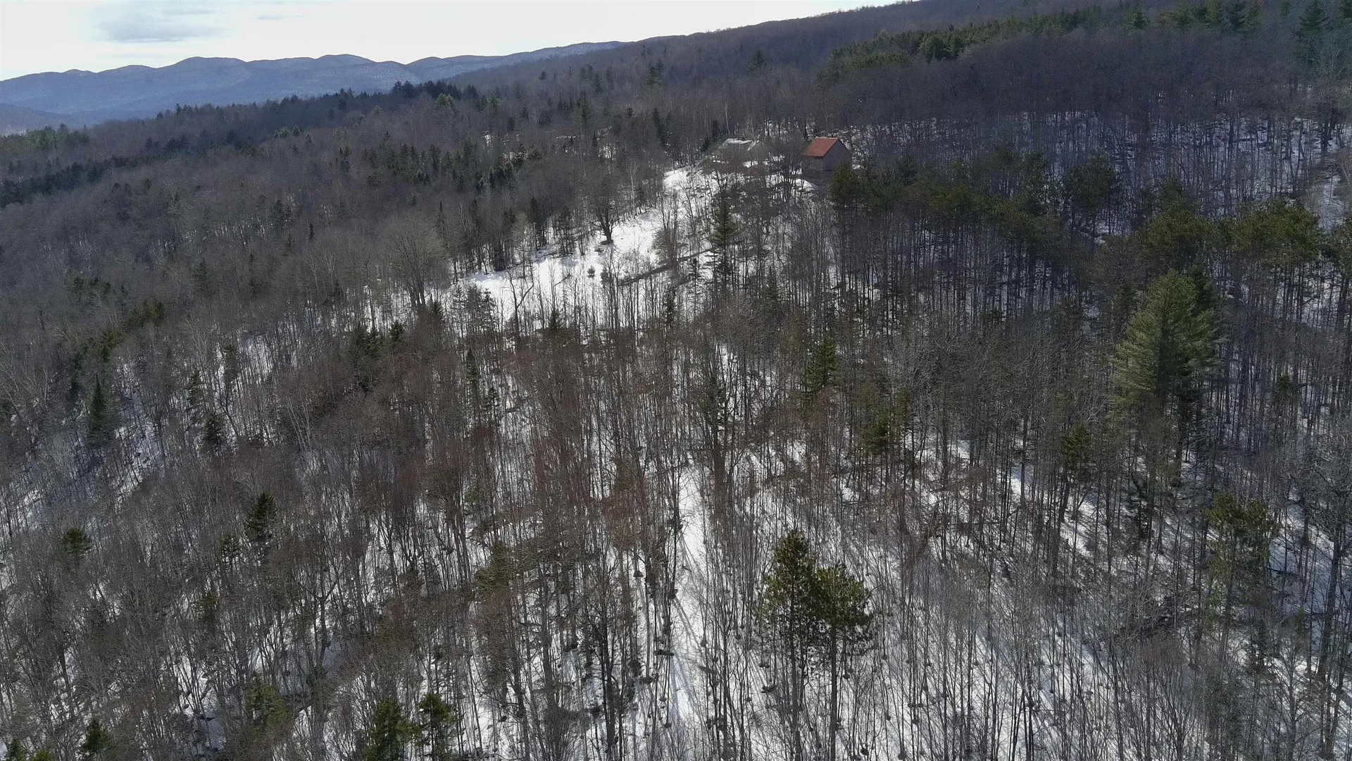 Lot 1 Thurston Hill Road Roxbury VT 05669