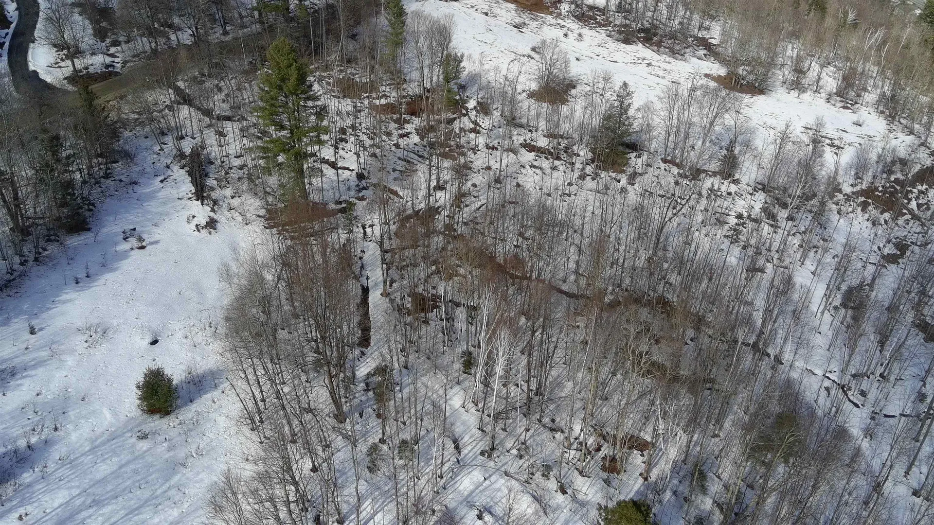 Lot 1 Thurston Hill Road Roxbury VT 05669