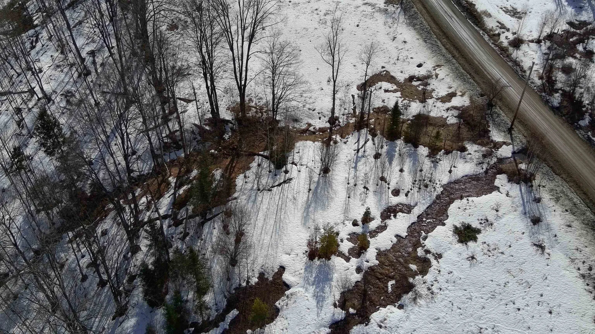 Lot 1 Thurston Hill Road Roxbury VT 05669